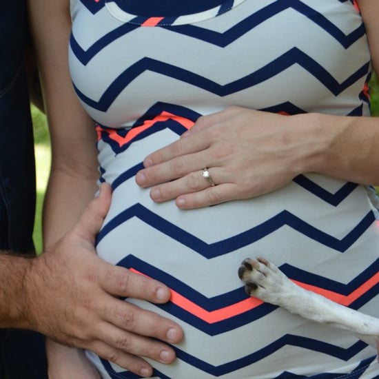 Dog Paw in Maternity Photo of Baby Bump