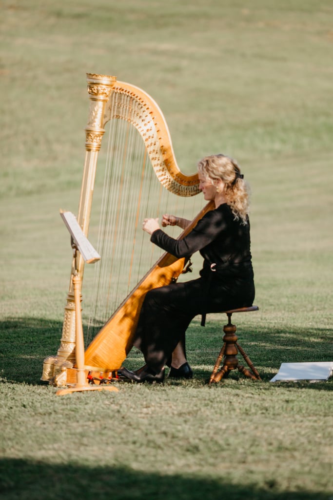 Backyard Harry Potter Wedding