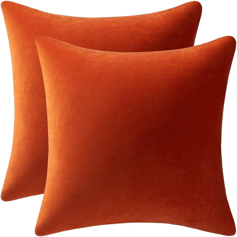 Decorative Pillow Cases