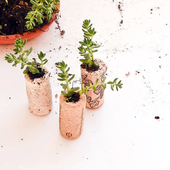 Cork Planters DIY Host Gifts POPSUGAR Smart Living Photo 53