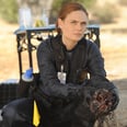 A Belated Ode to One of TV's Biggest Badasses: Dr. Temperance Brennan, aka Bones