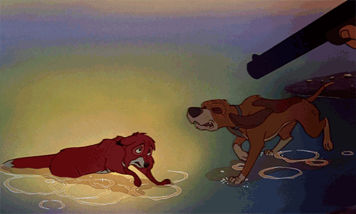 When Copper saves Tod's life in The Fox and the Hound.