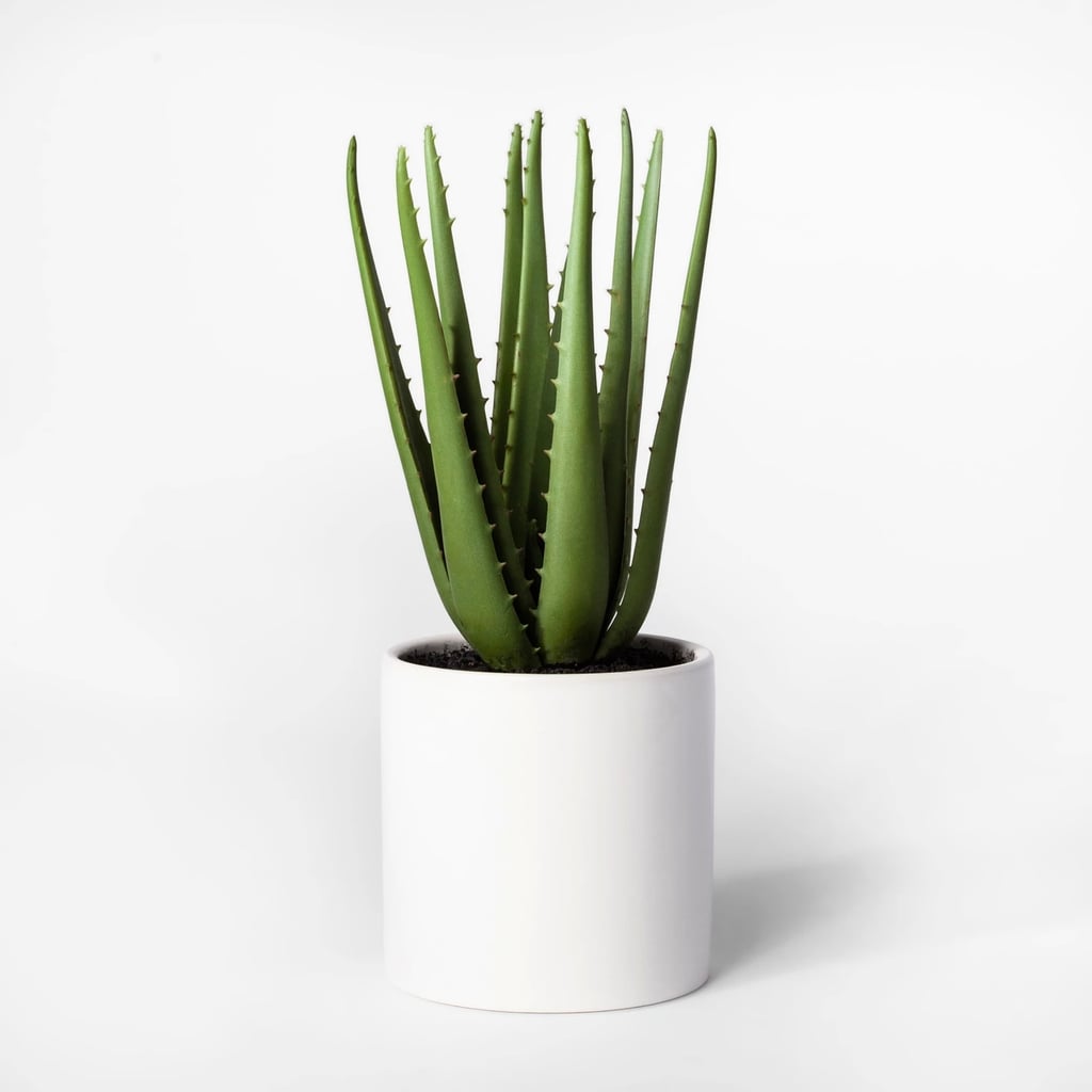 Artificial Aloe Plant in Pot Best Target Decor Under 50 POPSUGAR