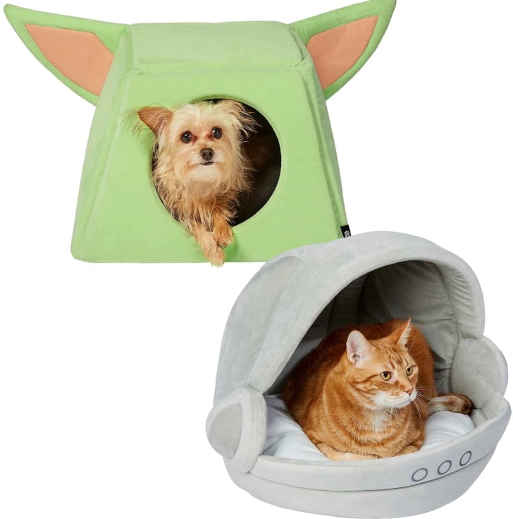 Chewy dog beds top
