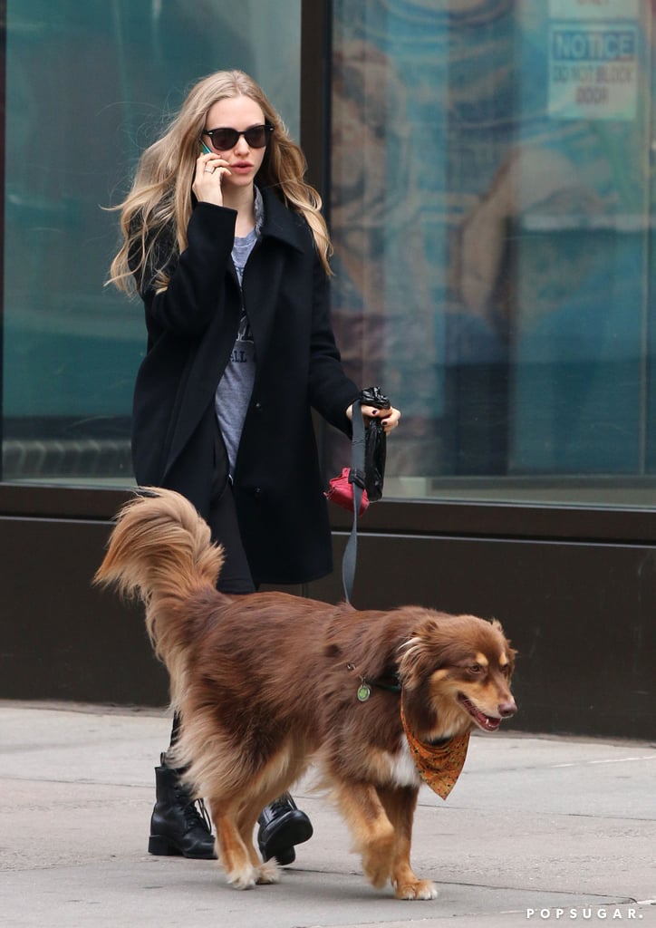 Amanda Seyfried took her pup for a walk on Tuesday in NYC.