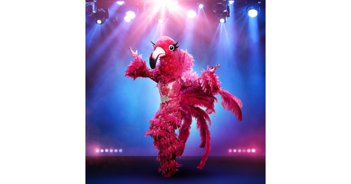 Who is the Flamingo on The Masked Singer? Who Is on the Masked Singer