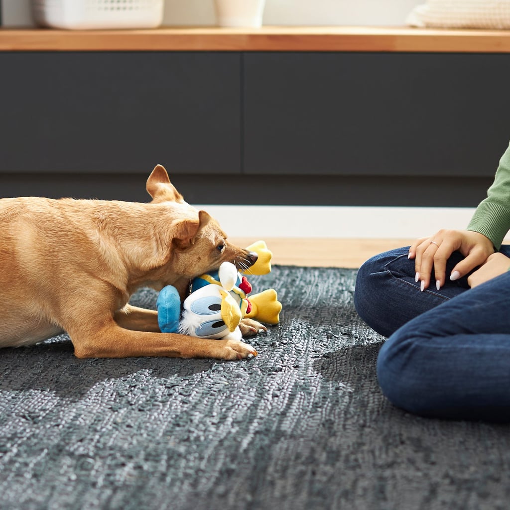 Donald Duck Plush Squeaky Dog Toy