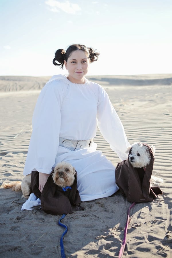 Homemade Princess Leia costume