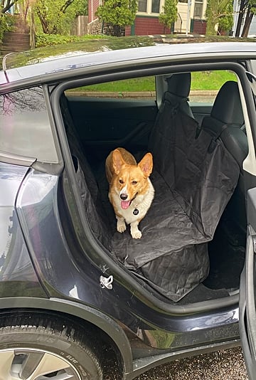 Active Pets Premium Dog Car Seat Cover​ Review