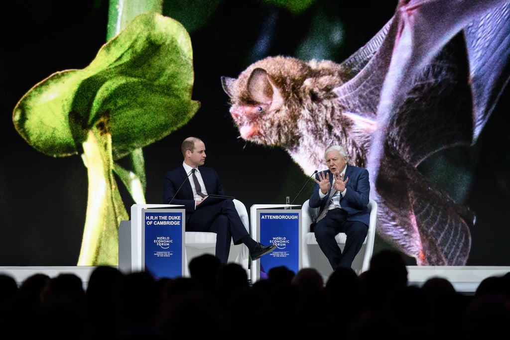 Prince William Talks With David Attenborough January 2019