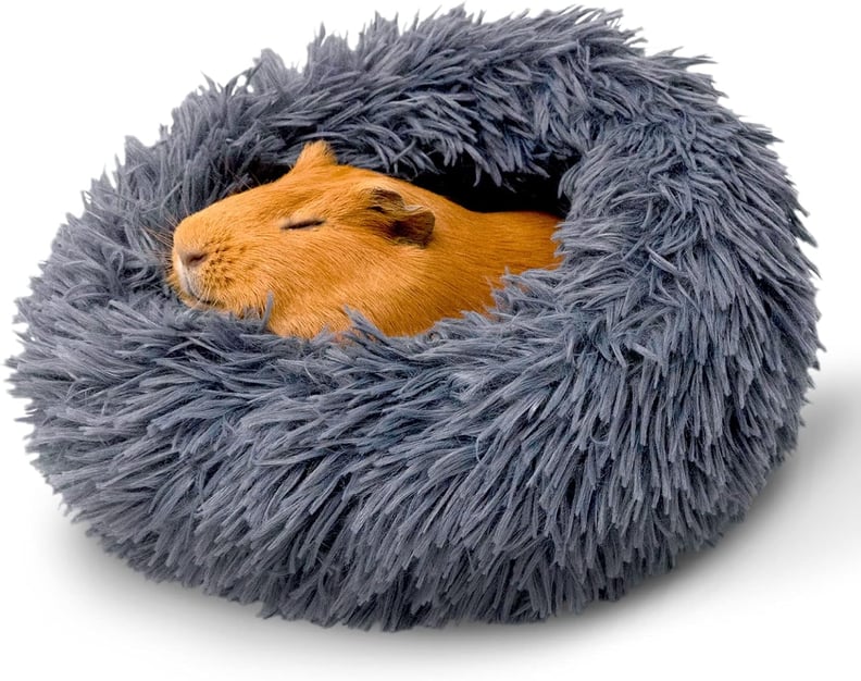 A Deal on Burrowing Pet Beds