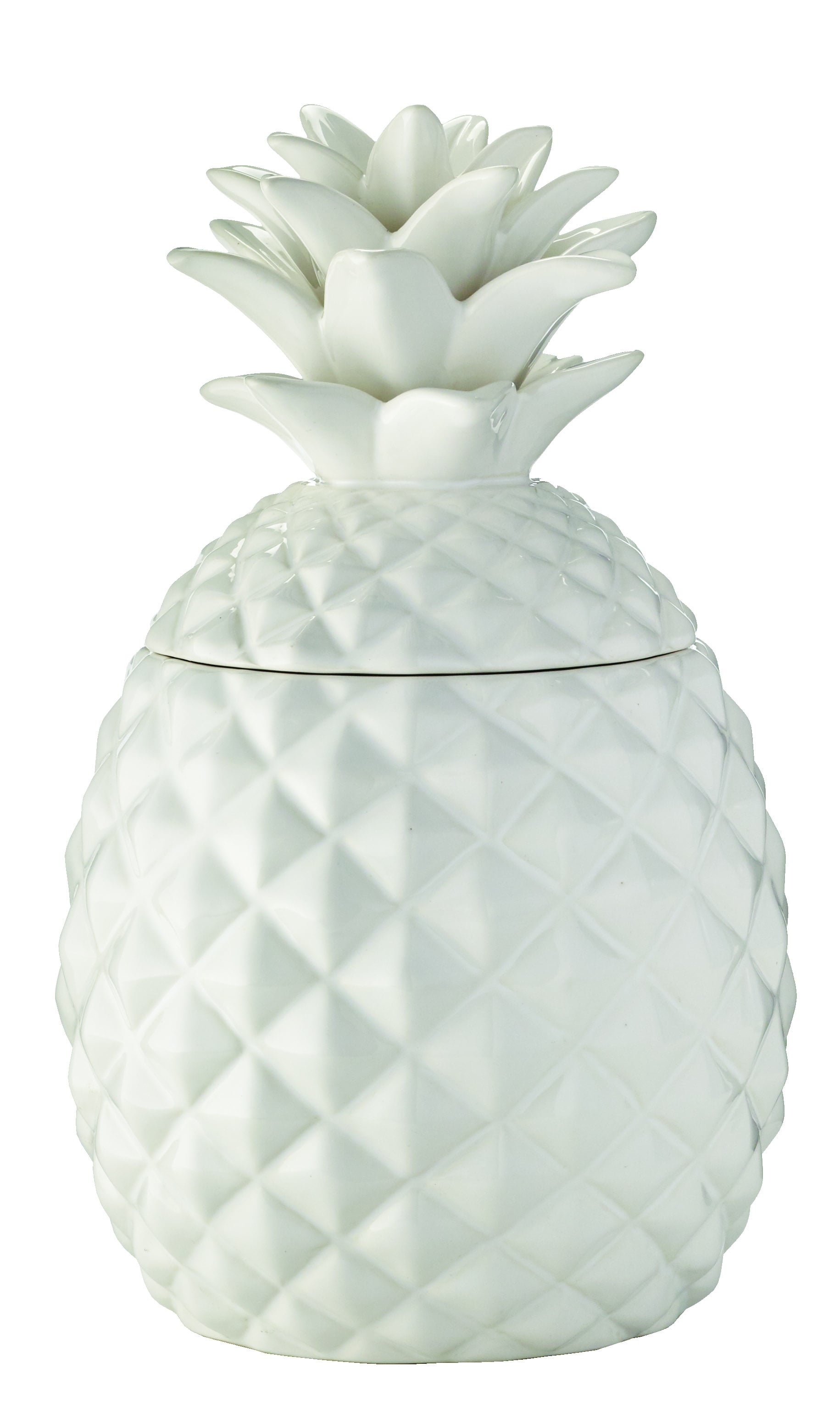 White Ceramic Pineapple Cookie Jar 15 Can You Spot The Theme