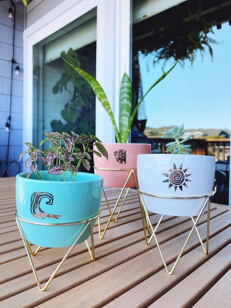 Cute Indoor Planters at Target | Editor Review 2021