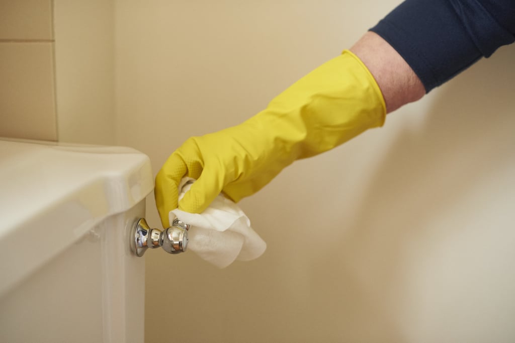 Clean Metal, Mirrors, and Glass Instantly With Clorox Scentiva Disinfecting Wipes