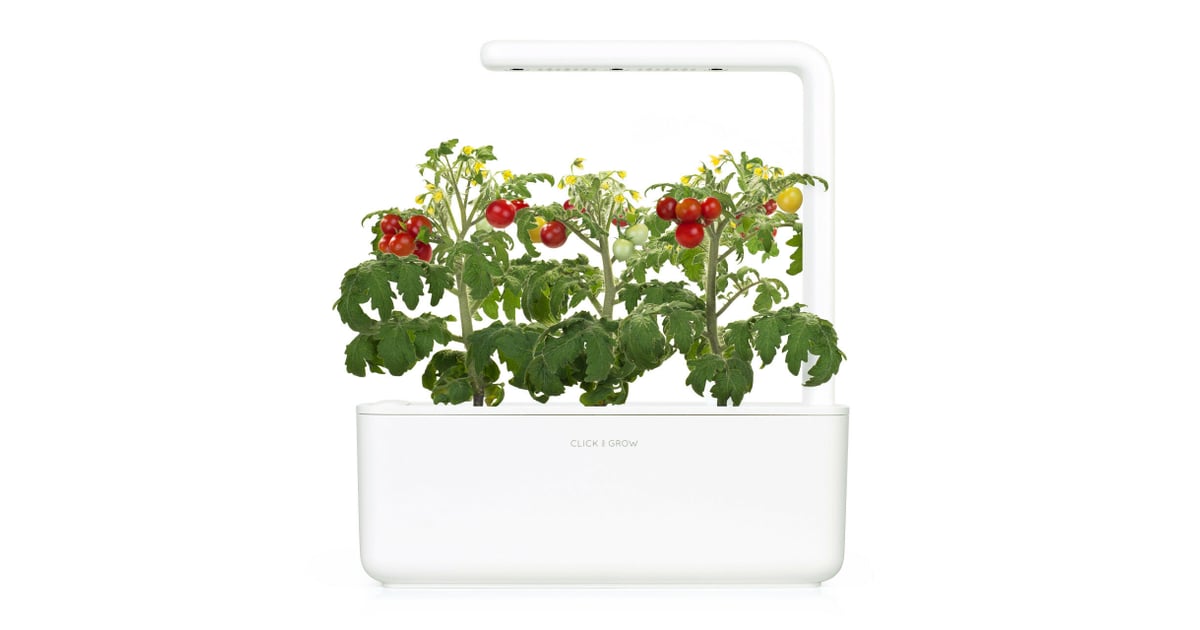 Click Grow Smart Garden Hydroponic Unit 7 Indoor Garden Kits You