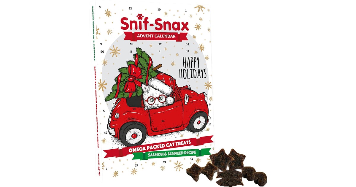 Snif Snax Dog Advent Calendar Printable Word Searches