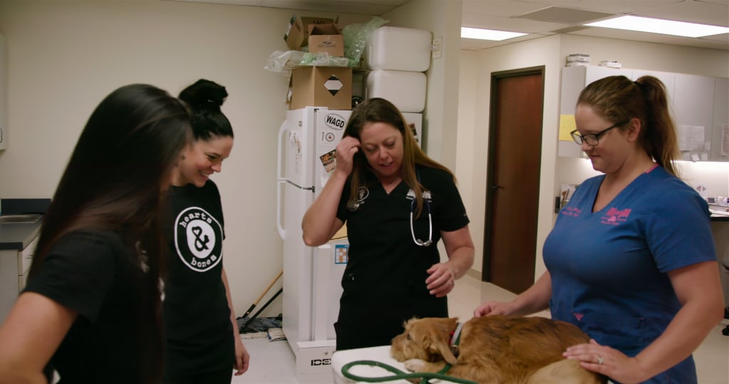 Netflix Dogs Documentary Trailer POPSUGAR Family Photo 19