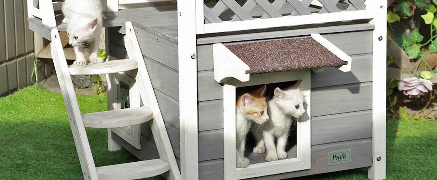 Best Cat House on Amazon POPSUGAR Home