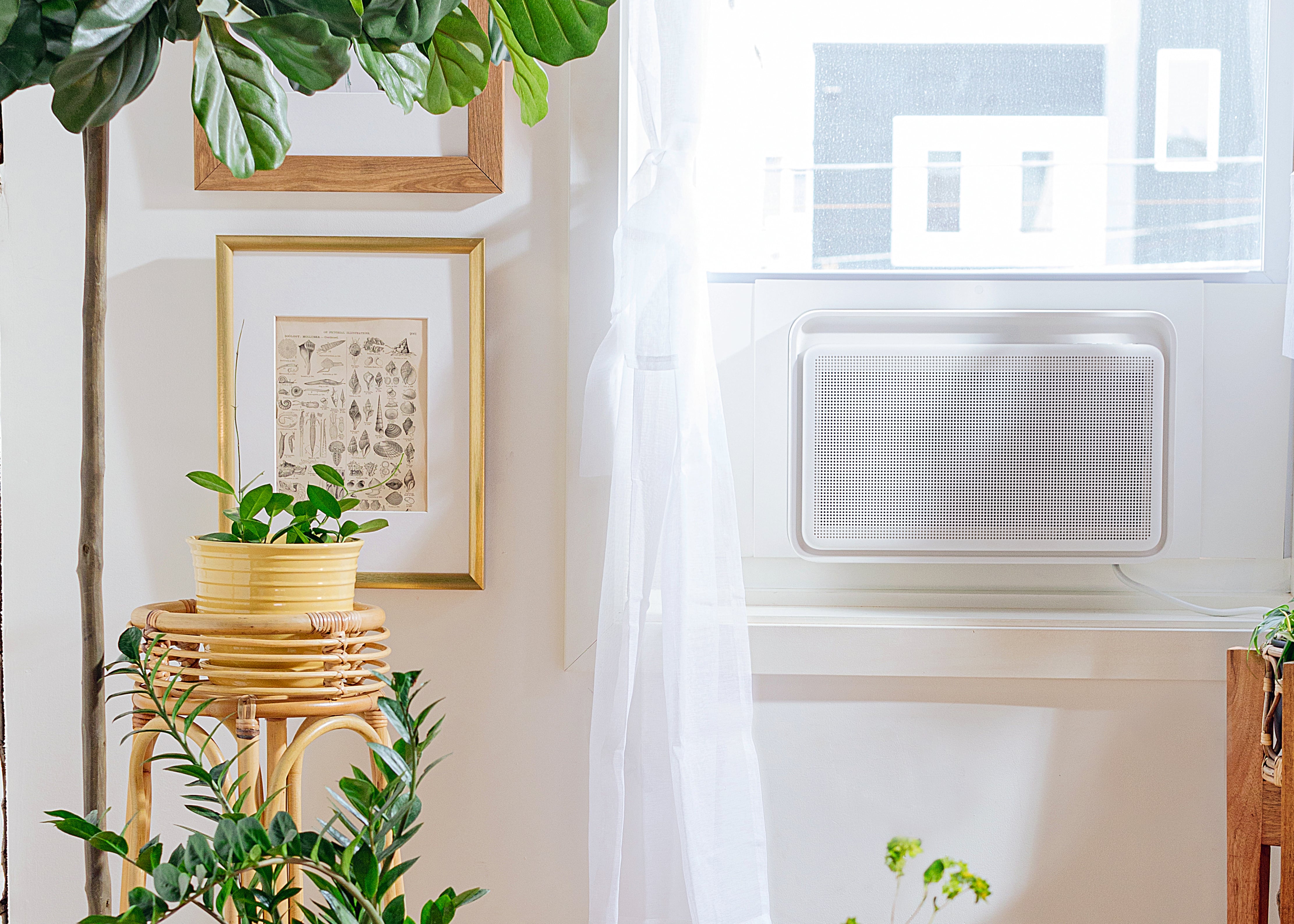 Windmill AC Review POPSUGAR Smart Living