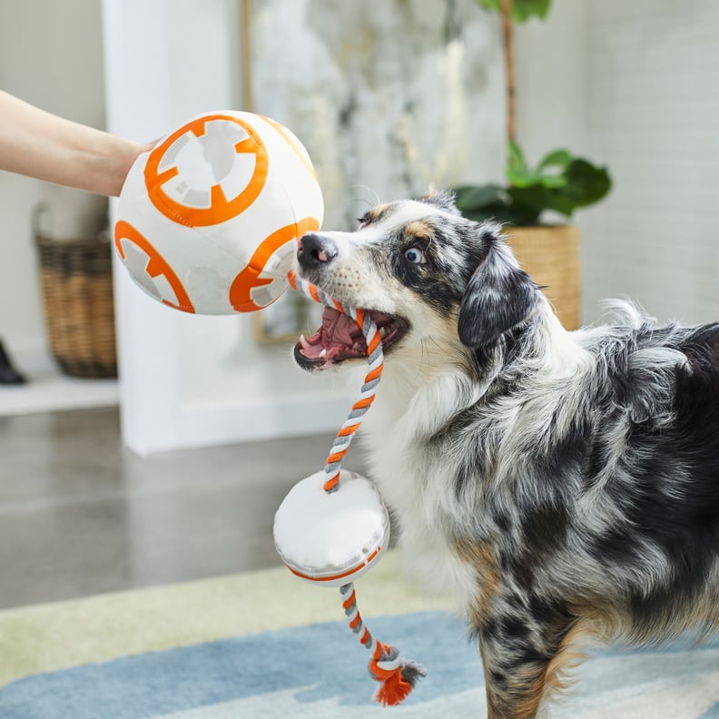 Star Wars Bb-8 Ballistic Nylon Plush Squeaky Dog Toy