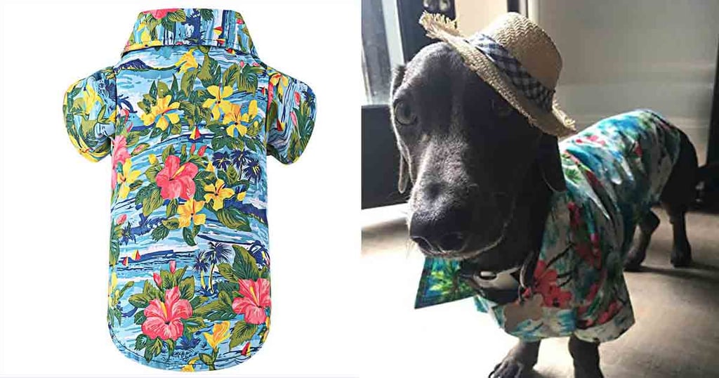 Hawaiian Shirt For Dogs on Amazon