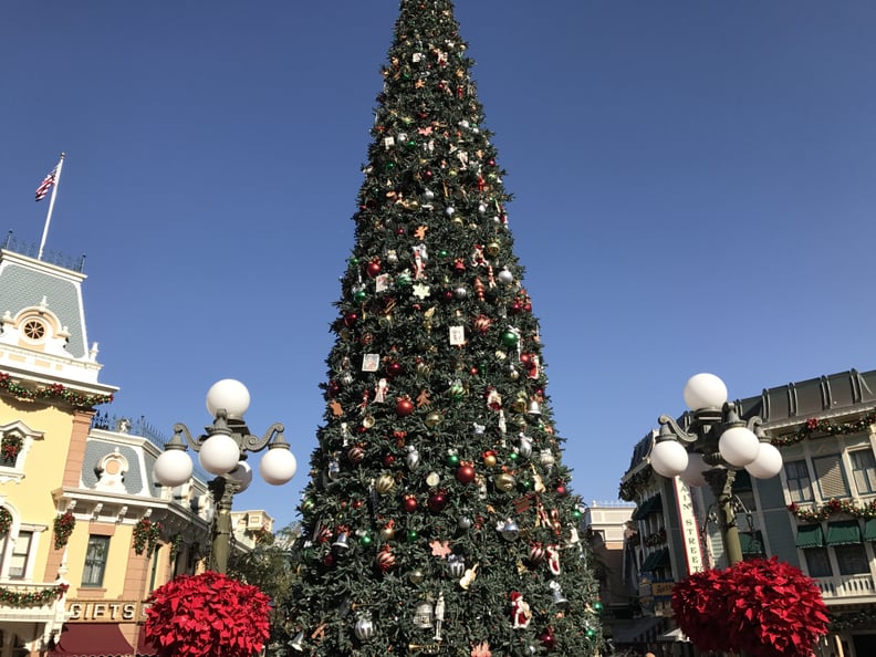The Christmas Tree in the Town Square Towers at 60 Feet Tall.