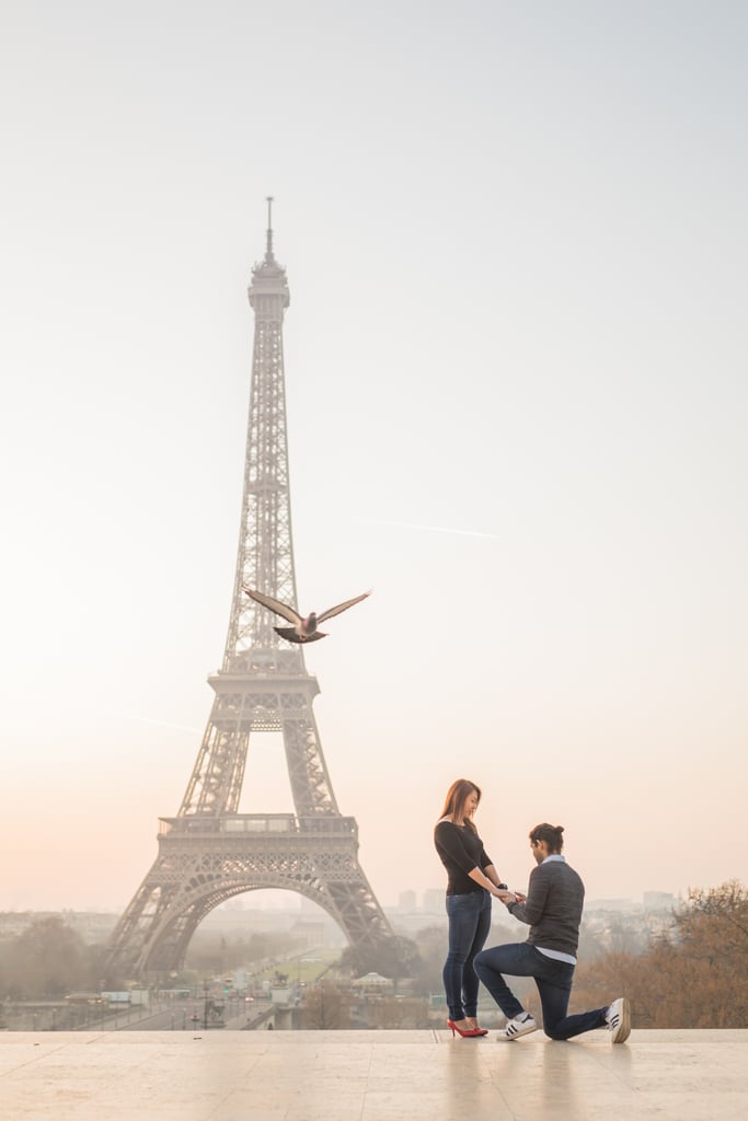 Eiffel Tower Proposal