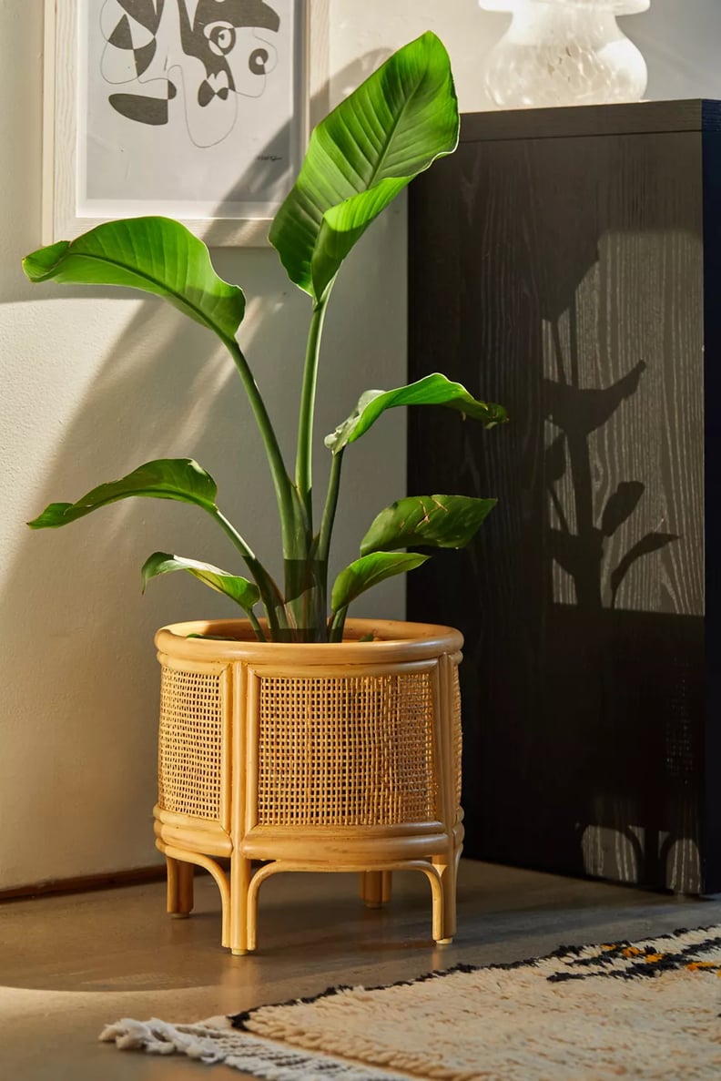 A Boho Indoor Planter Pot