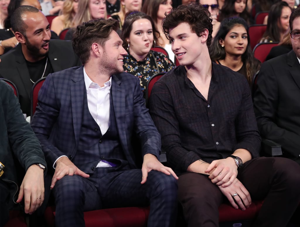 Shawn Mendes and Niall Horan