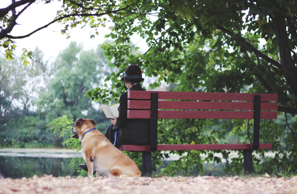 101 Dalmatians Engagement Photos