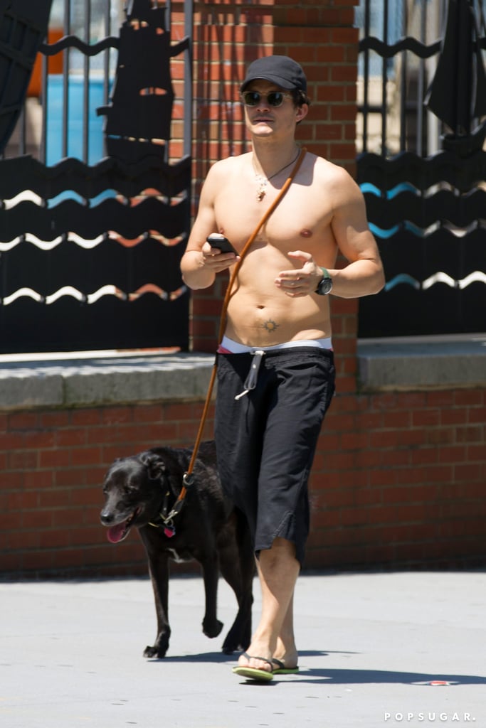 Orlando Bloom took a shirtless walk with his dog around NYC in July 2013.