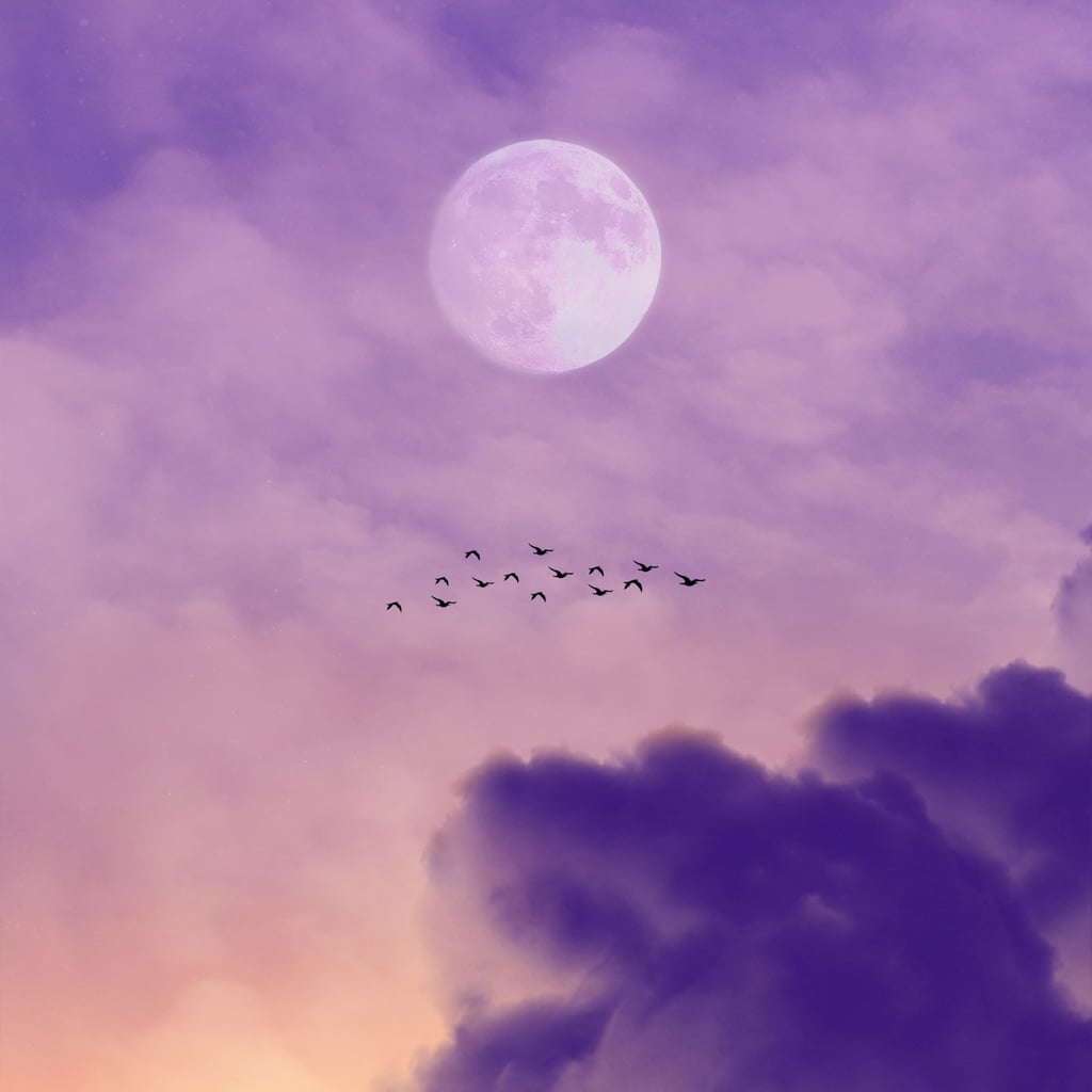 May's Full Flower Moon Is Ushering in Major Self-Help Energy