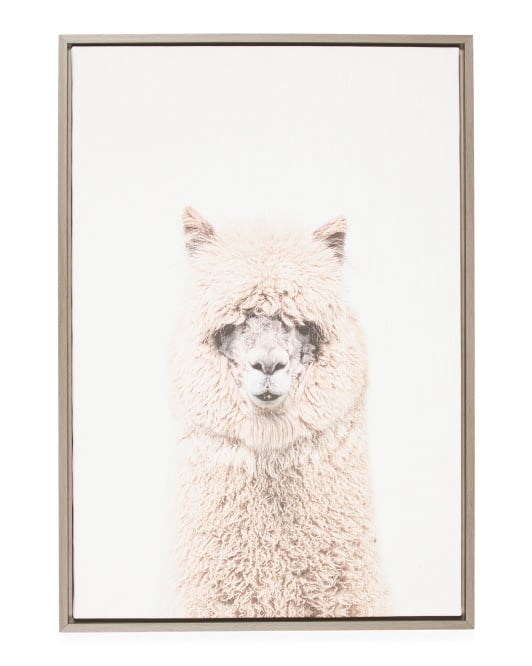 Alpaca Print Framed Canvas Wall Art Best Home Decor From TJ Maxx 2019