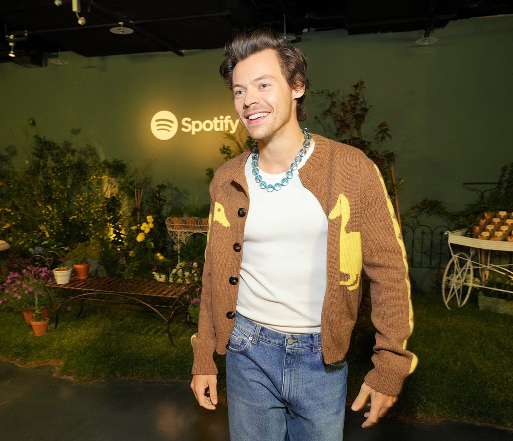 Harry Styles Wearing a Duck Cardigan and Wide-Leg Jeans