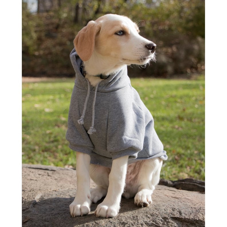 Fashion Plush Cotton Pet Hoodie Hooded Sweater 