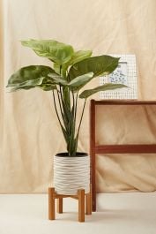 Joy Medium Wooden Stand Planter