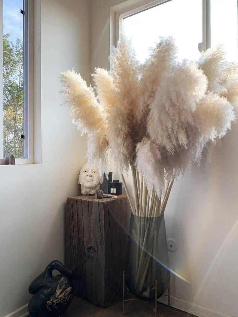 Big Neutral Plumes: Pampas Grass Stems