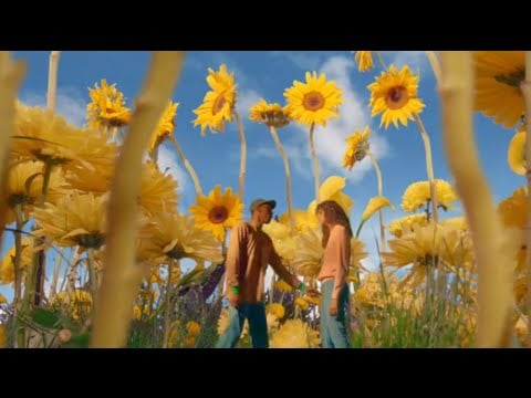 "F****** Young/Death Camp" by Tyler, The Creator