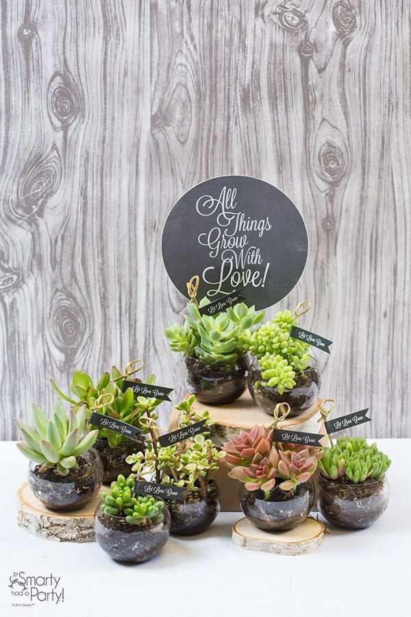 Succulents 48 Beautiful DIY Bridesmaid Gifts That Are 