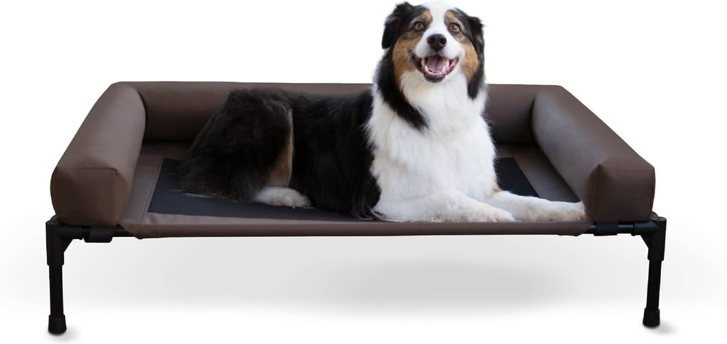 A Cool Bed: K&H Pet Products Bolster Elevated Dog Bed