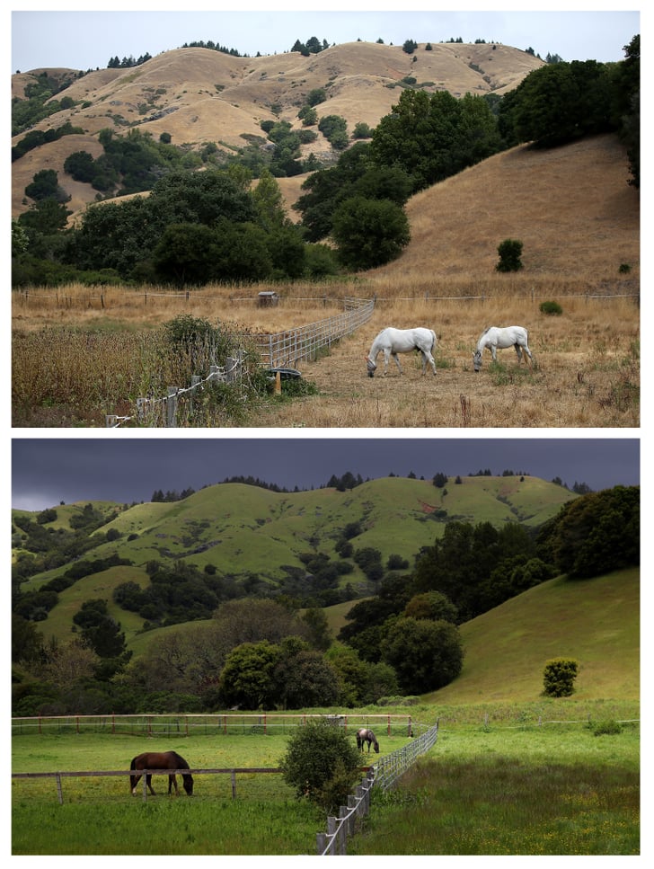 A field in Woodacre, CA. Before and After Photos of California