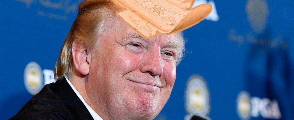 Women Tweet About Periods to Donald Trump