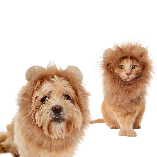 Frisco Lion Mane Dog & Cat Costume