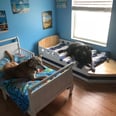 These 7 Rescue Dogs All Sleep in Toddler Beds, and Yup, They're Living Their Best Lives