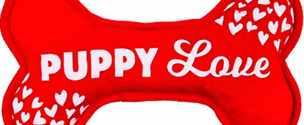 Valentine's Day Dog Toys