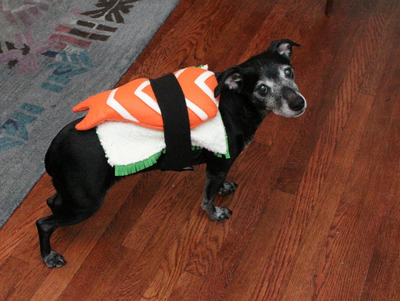 DIY Pet Costume Ideas  POPSUGAR Smart Living