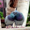 7 Things That Prove True Love Exists