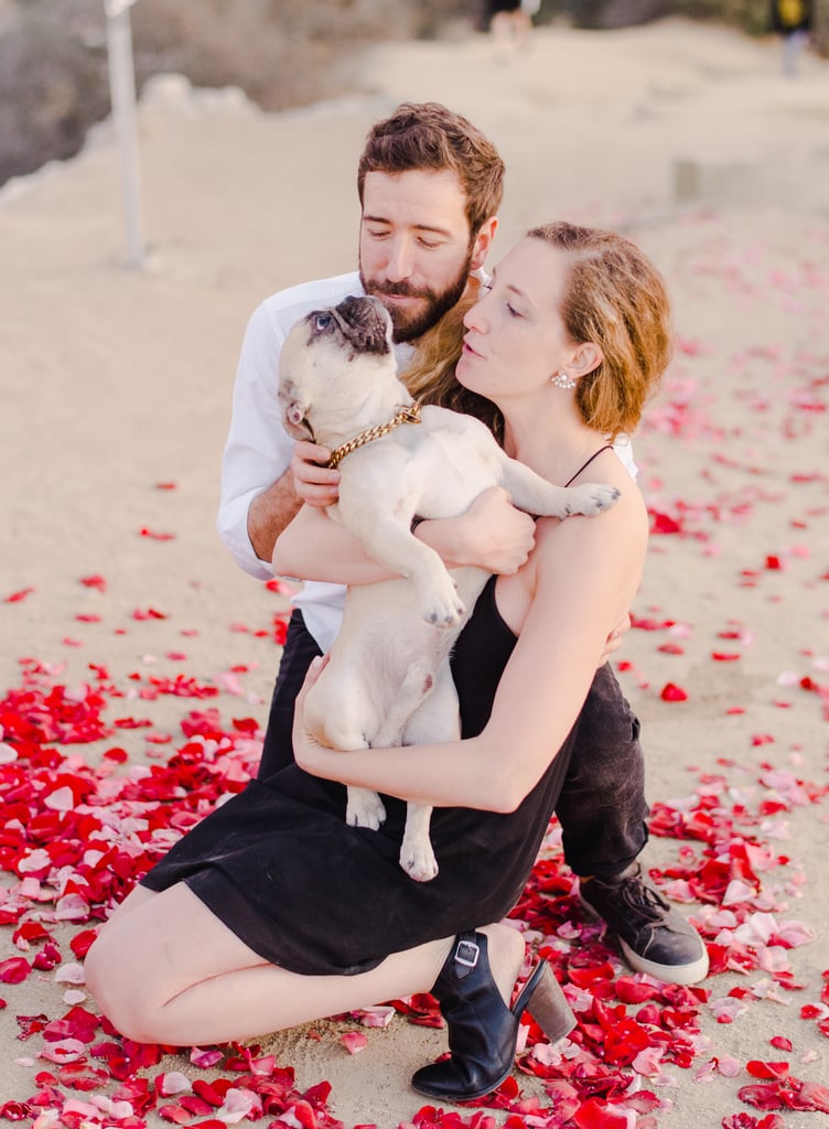 Man Proposes to His Girlfriend With 16 Dogs