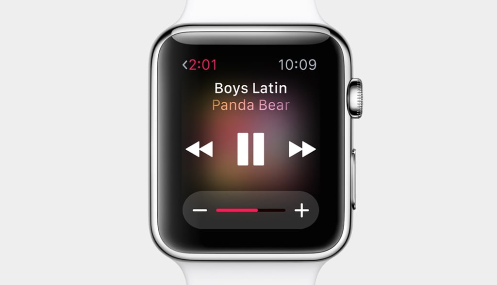 What Can the Apple Watch Do?