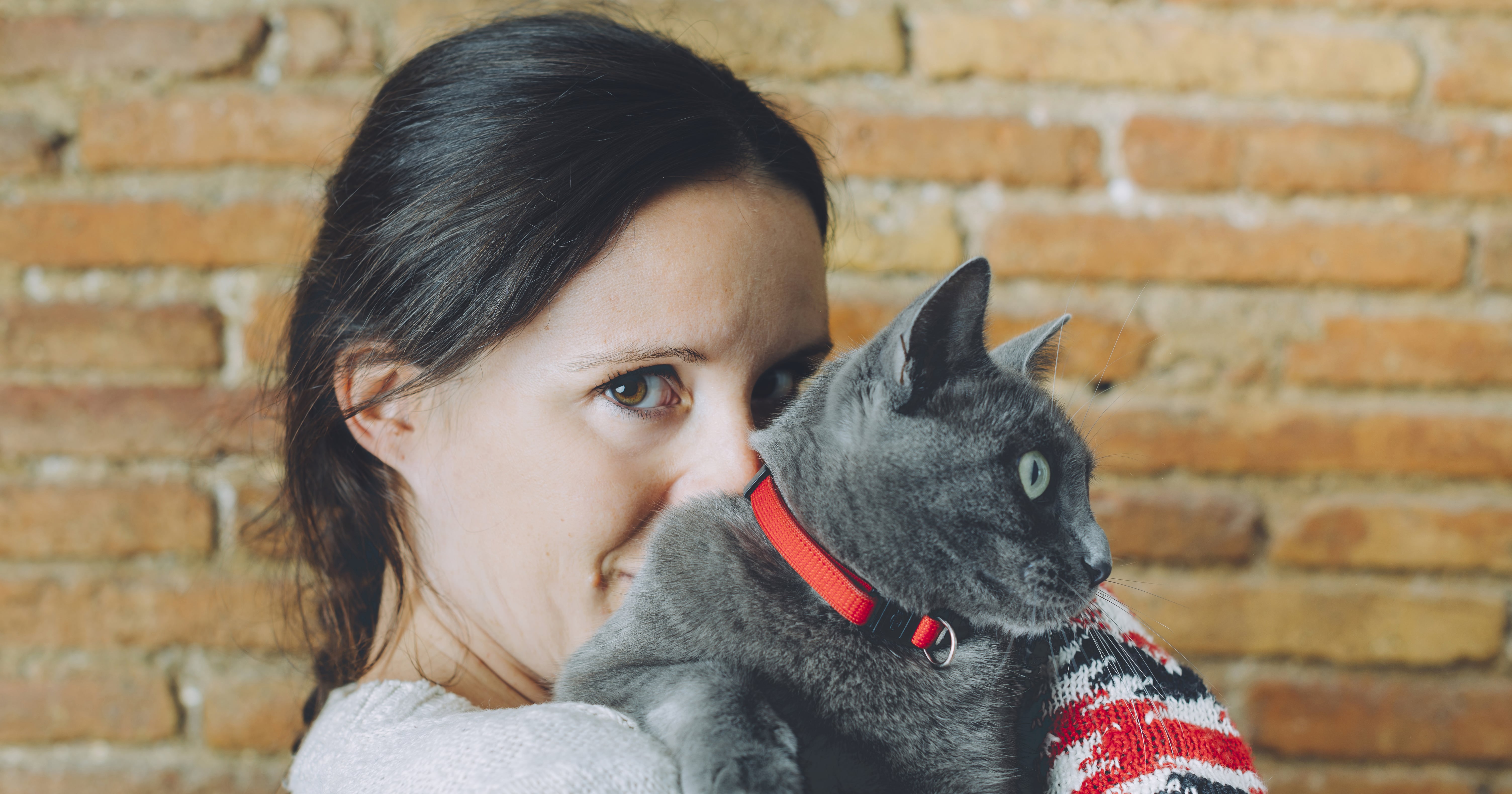 Does My Cat Need a Collar? POPSUGAR Pets